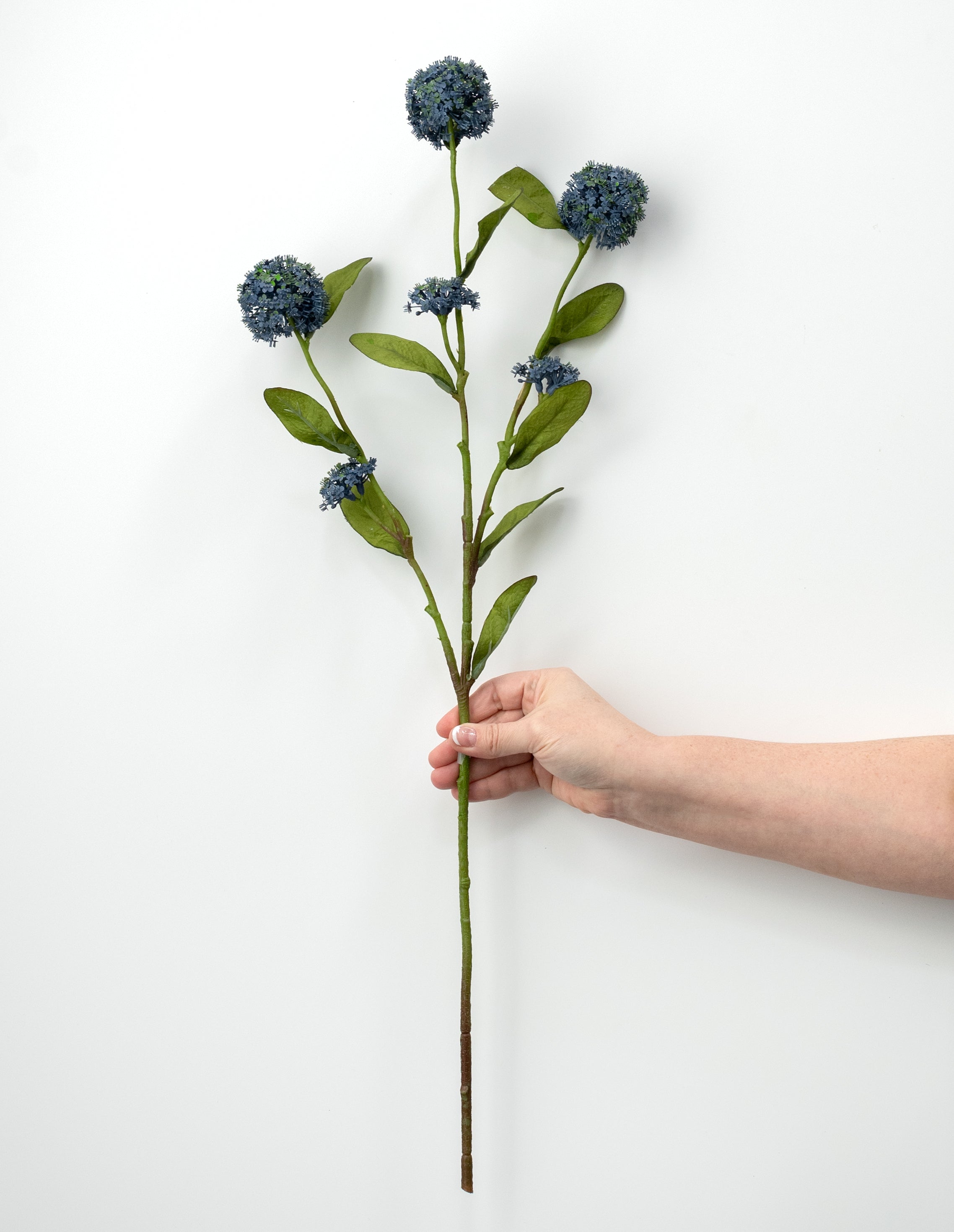 26" Snowball Viburnum Spray: Blue
