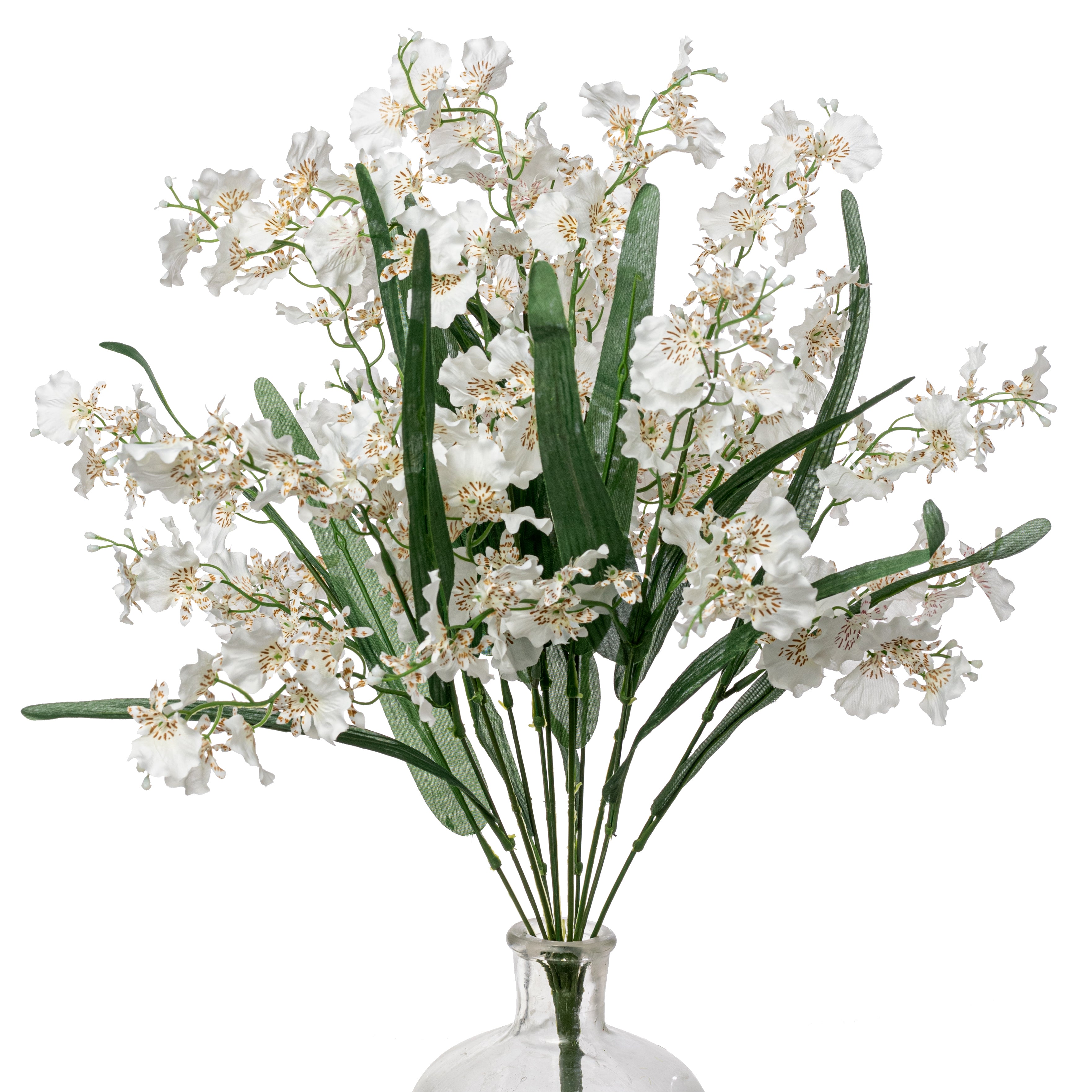 22" Dancing Orchid Bush: White