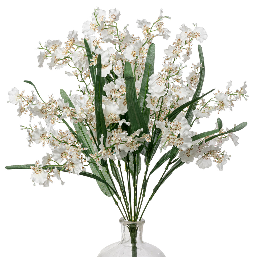 22" Dancing Orchid Bush: White