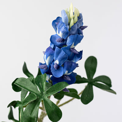 14" Bluebonnet Stem