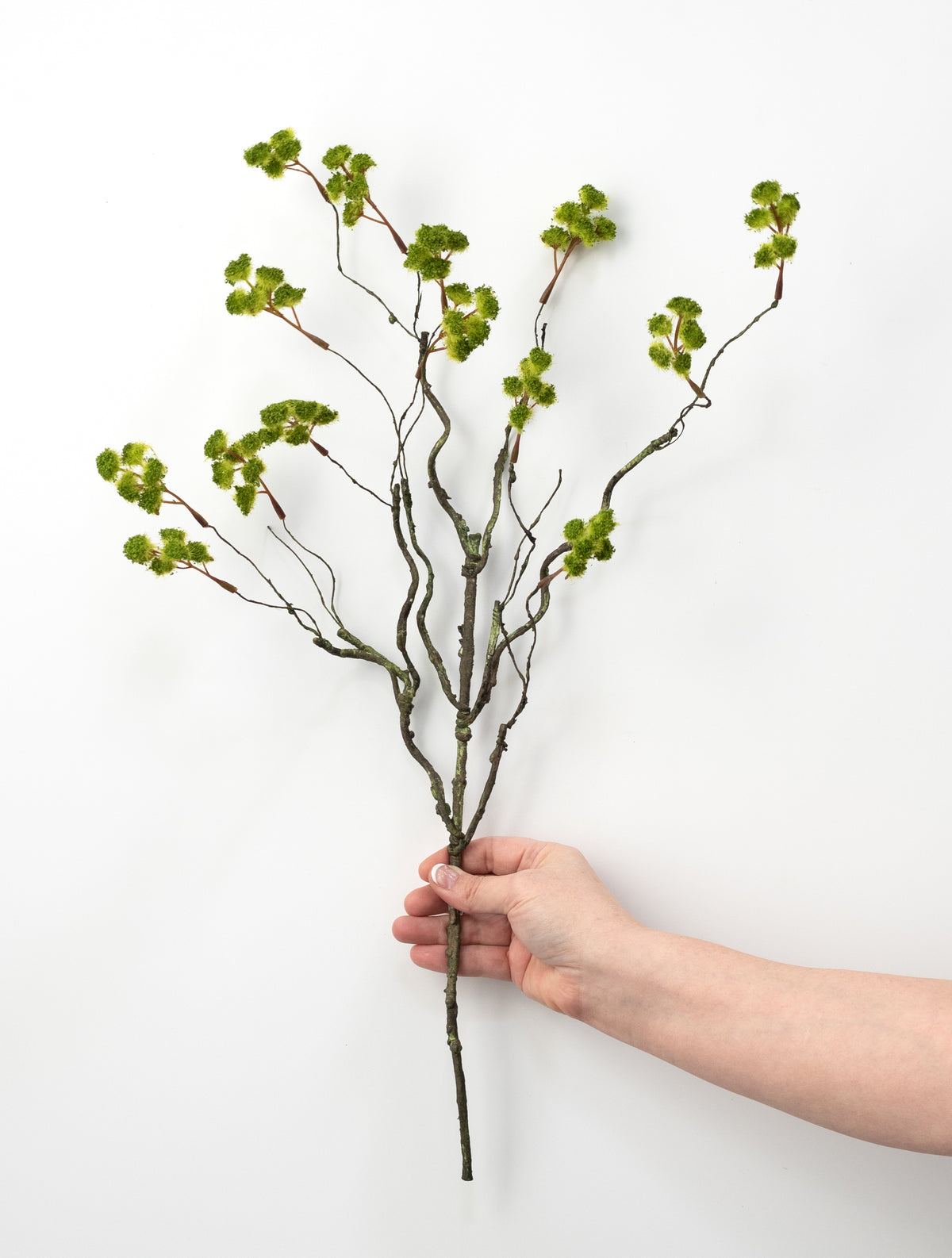 23" Irish Moss Branch Spray