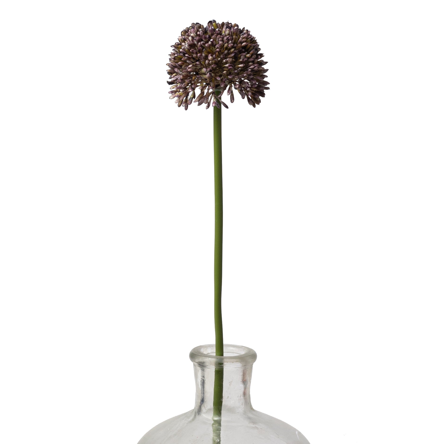 17" Allium Stem: Dark Purple