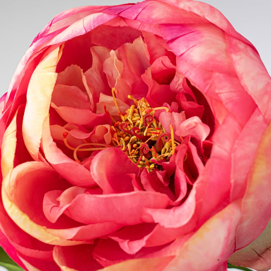 27" Artificial Peony Flower Stem: Hot Pink