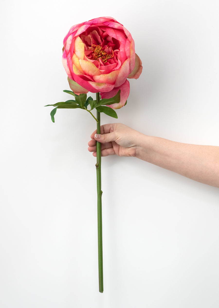 27" Artificial Peony Flower Stem: Hot Pink