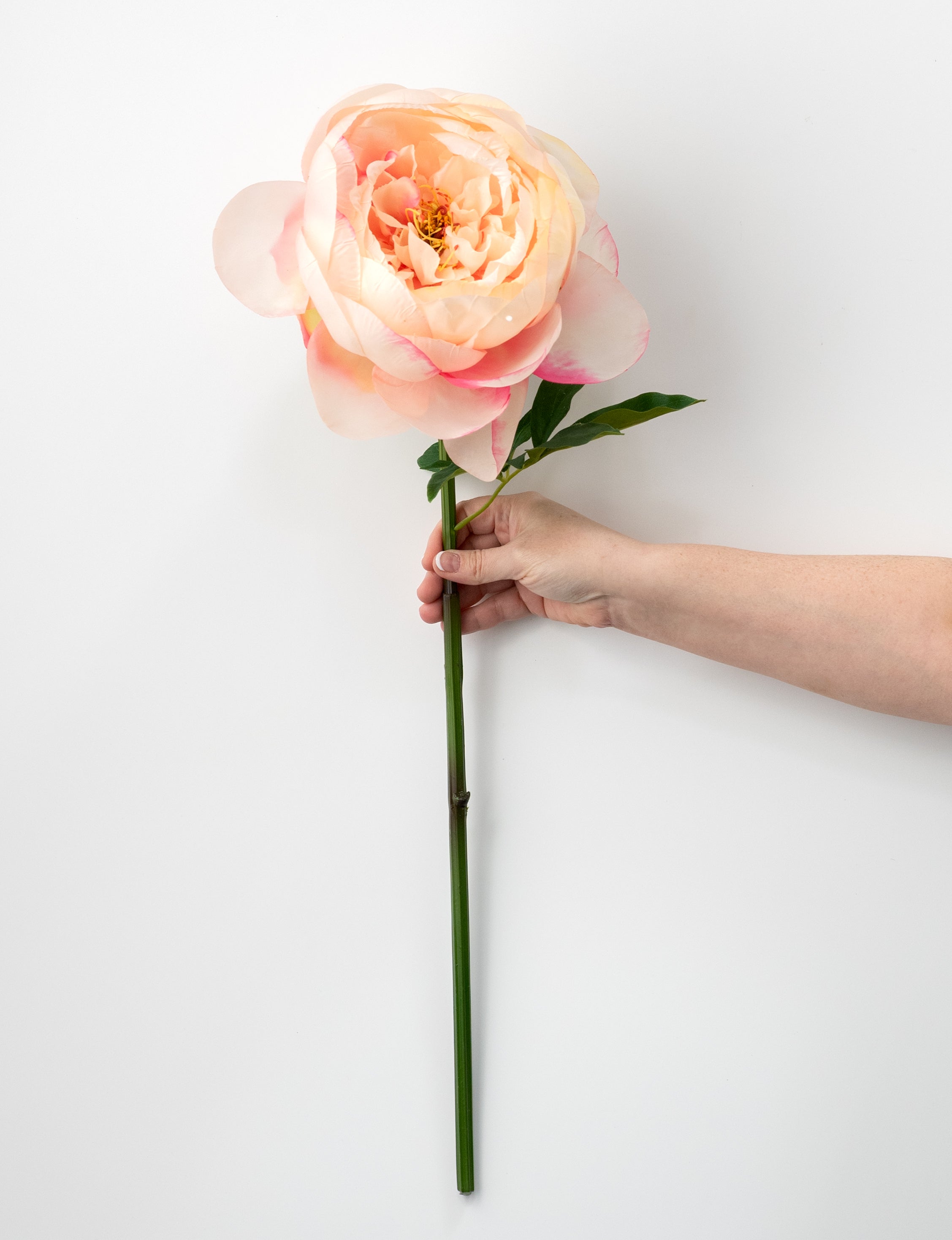 27" Artificial Peony Flower Stem: Peach
