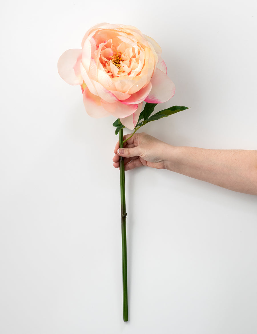 27" Artificial Peony Flower Stem: Peach