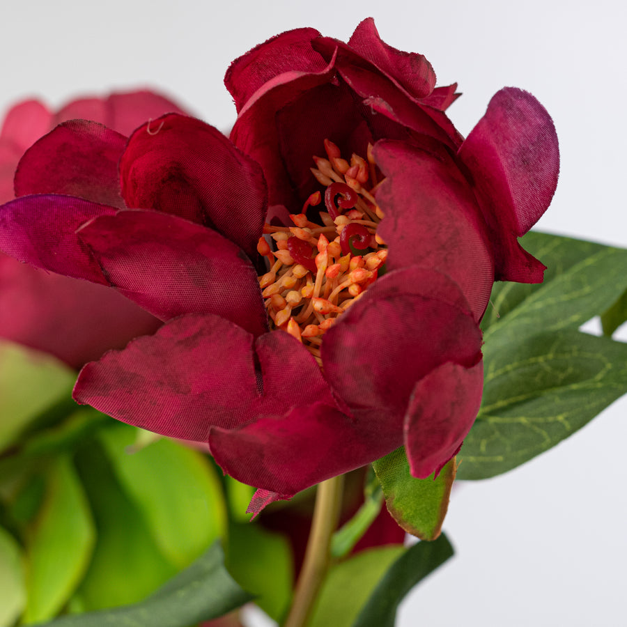 22" Vintage Peony Spray: Dark Fuchsia Pink