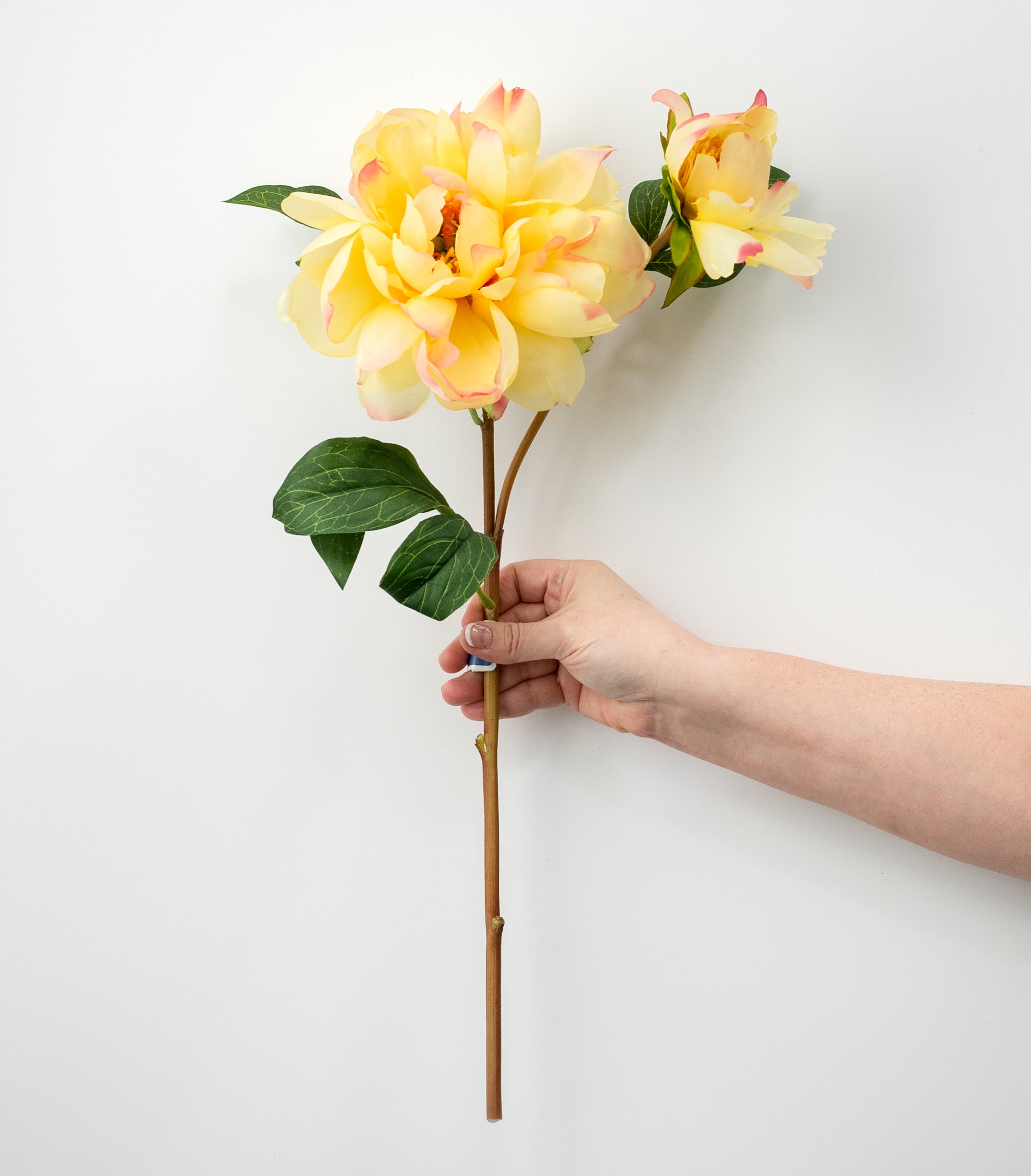 22" Vintage Peony Spray: Yellow & Pink