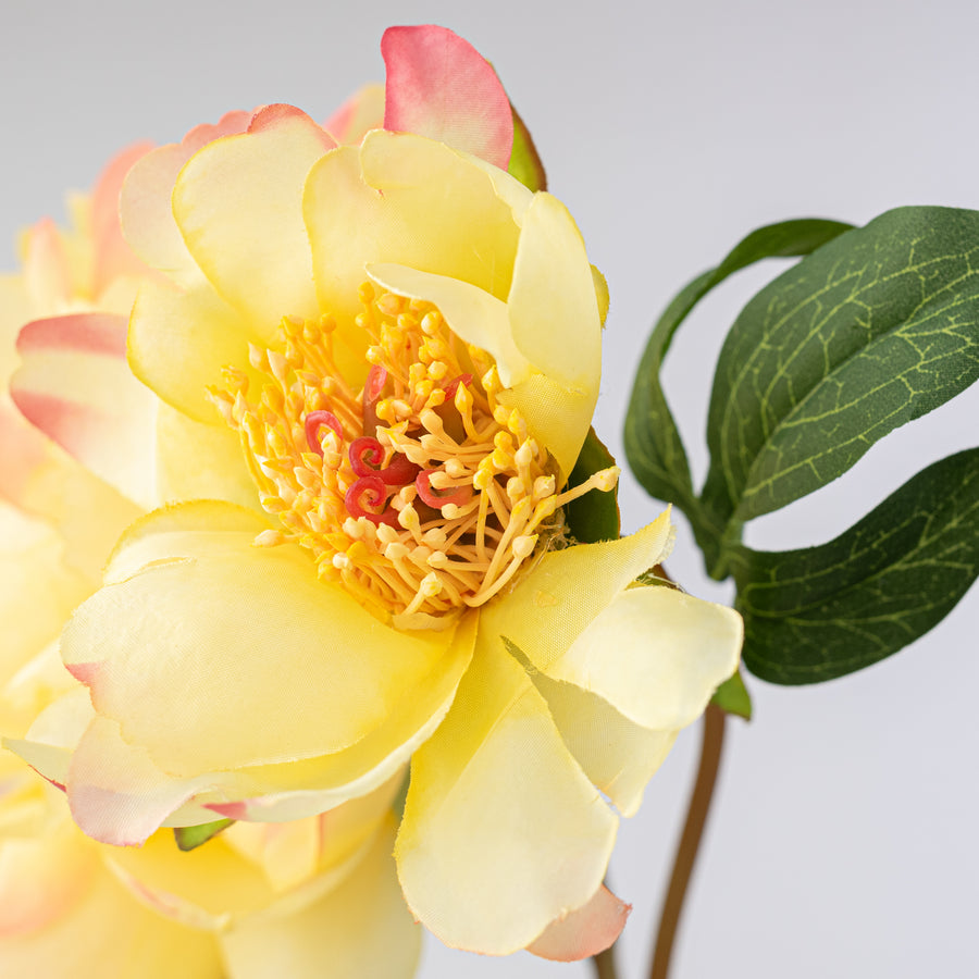 22" Vintage Peony Spray: Yellow & Pink