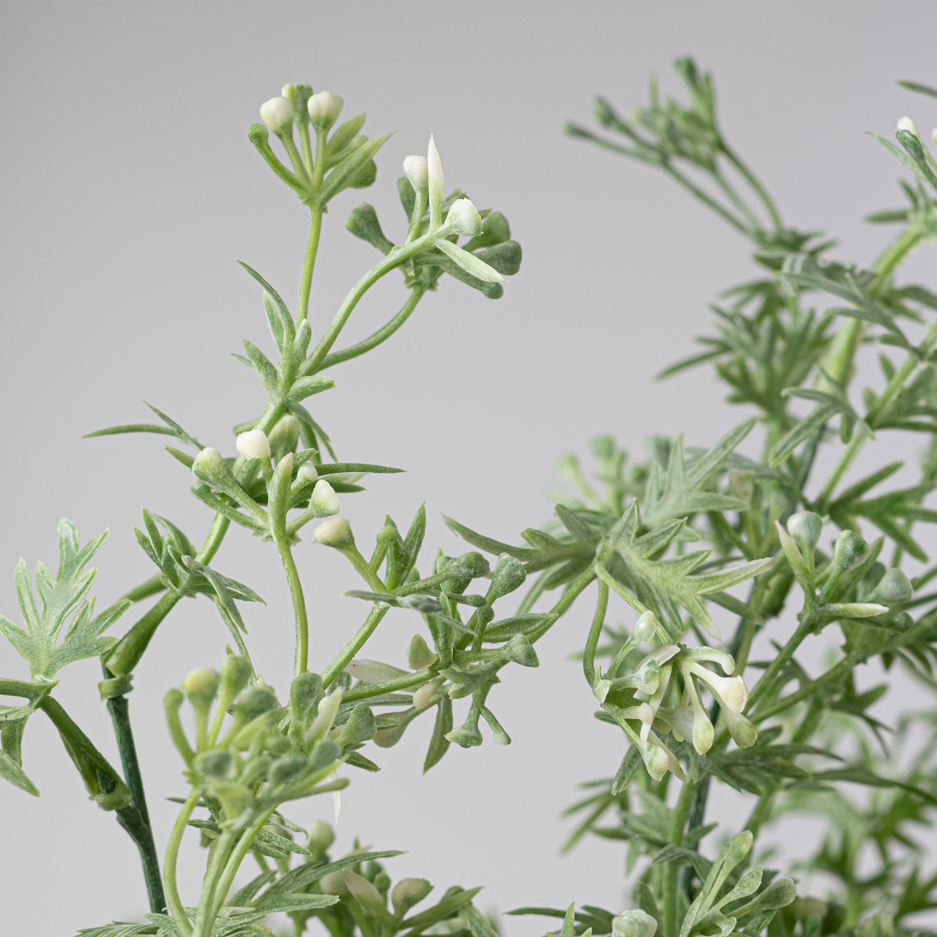20" Plastic Wildflower Filler Bush: White