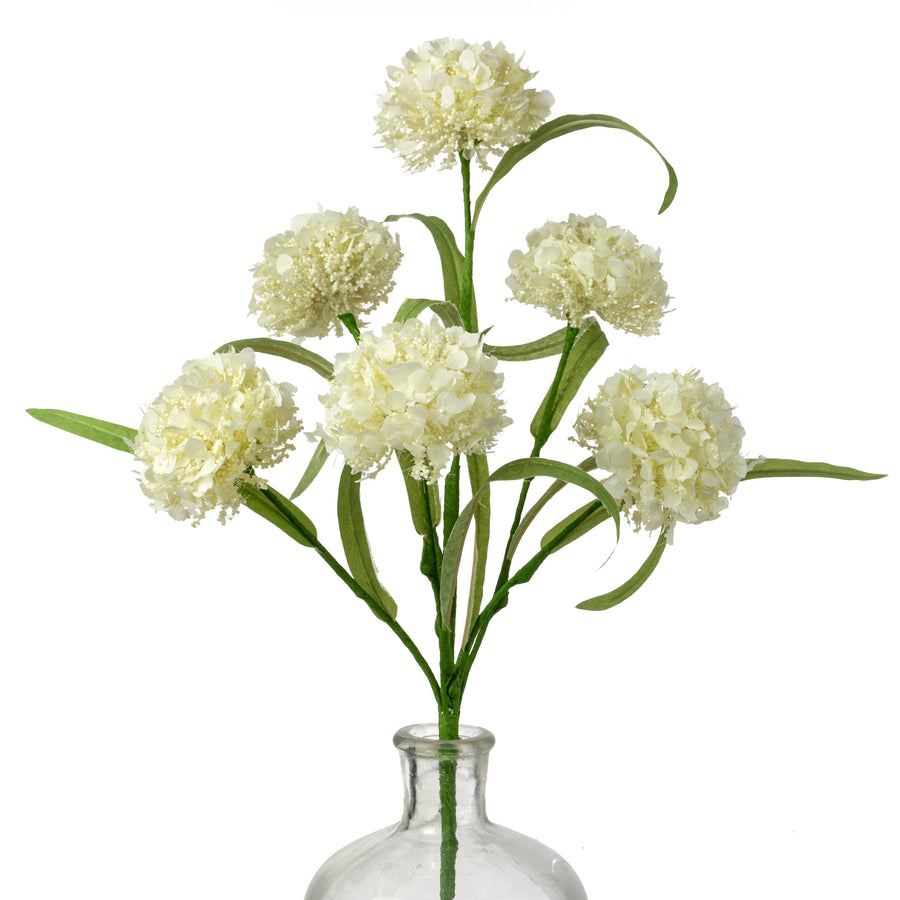 19" Viburnum Snowball Spray: Cream