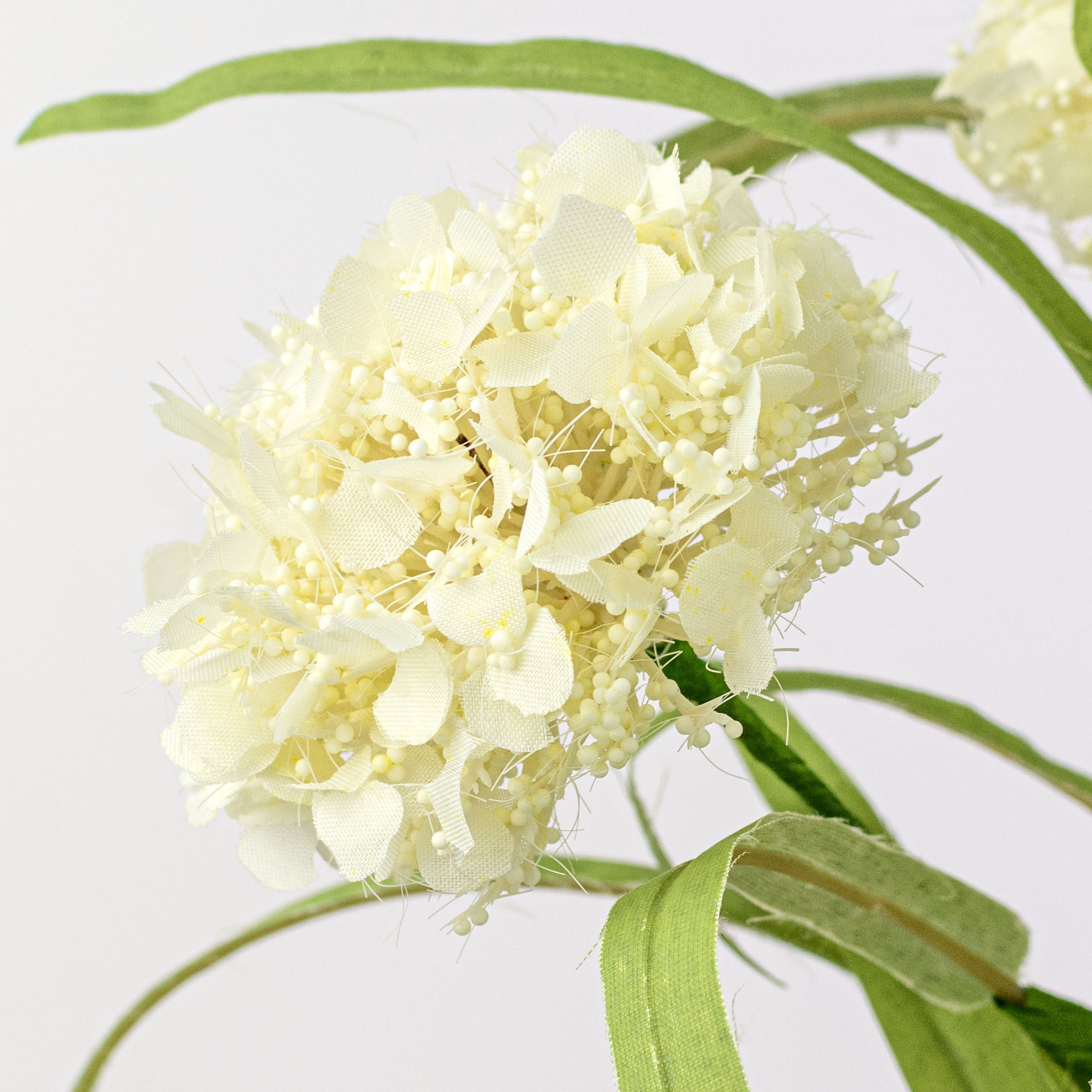 19" Viburnum Snowball Spray: Cream