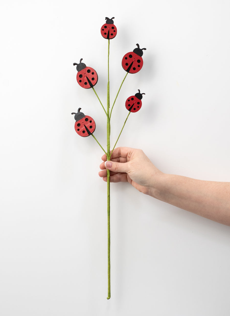 24" Wooden Ladybugs Spray