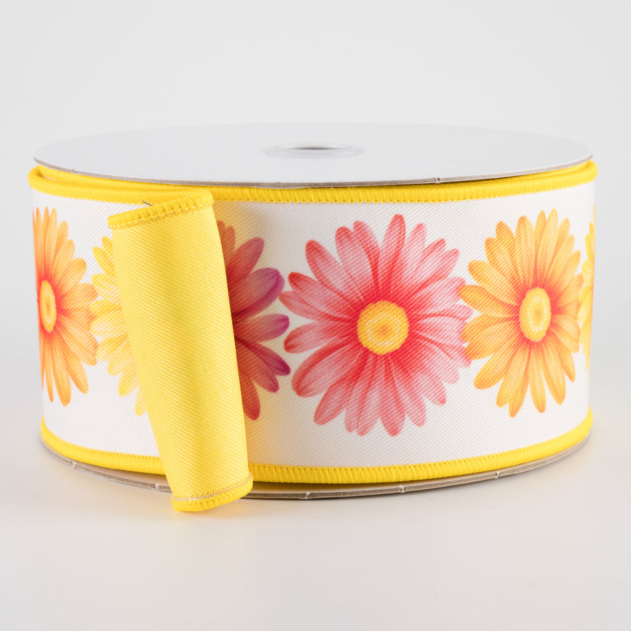 2.5" Double Sided Fused Multicolor Daisies Ribbon (10 Yards)