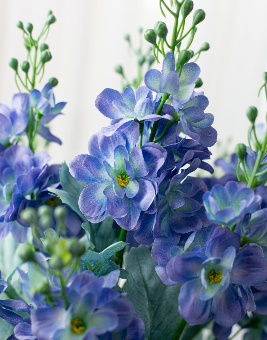 24" Delphinium Bush: Blue (12 Stem)