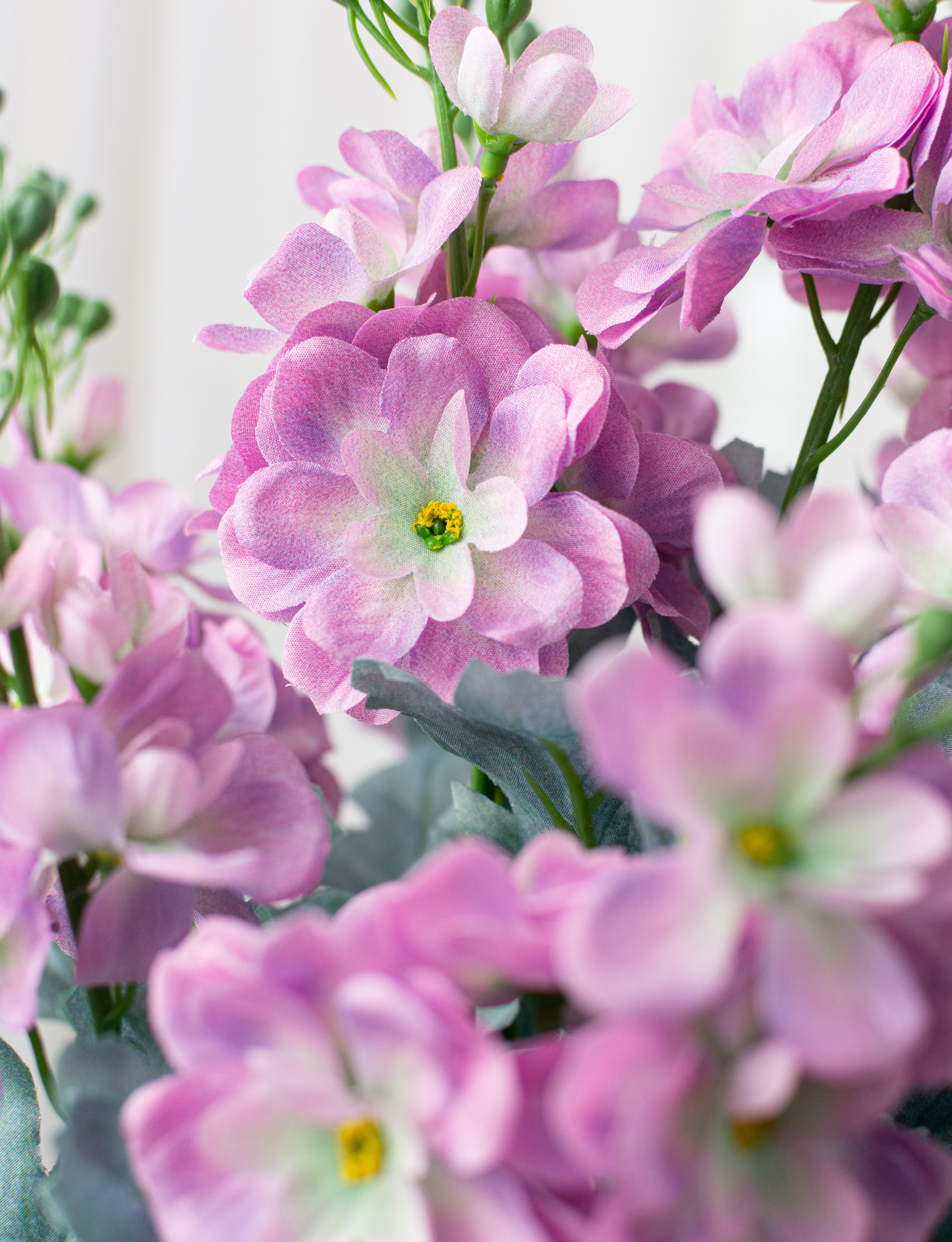24" Delphinium Bush: Lilac Purple (12 Stem)