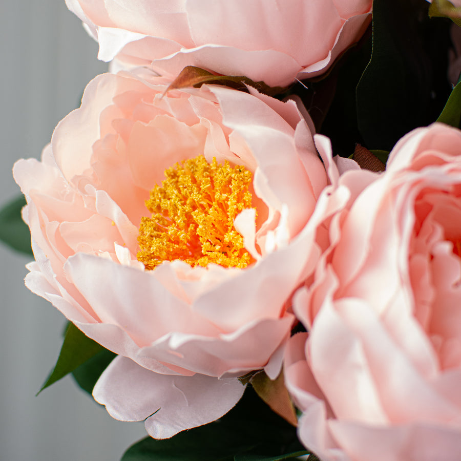 20" Peony Bush: Blush Pink (11 Stem)