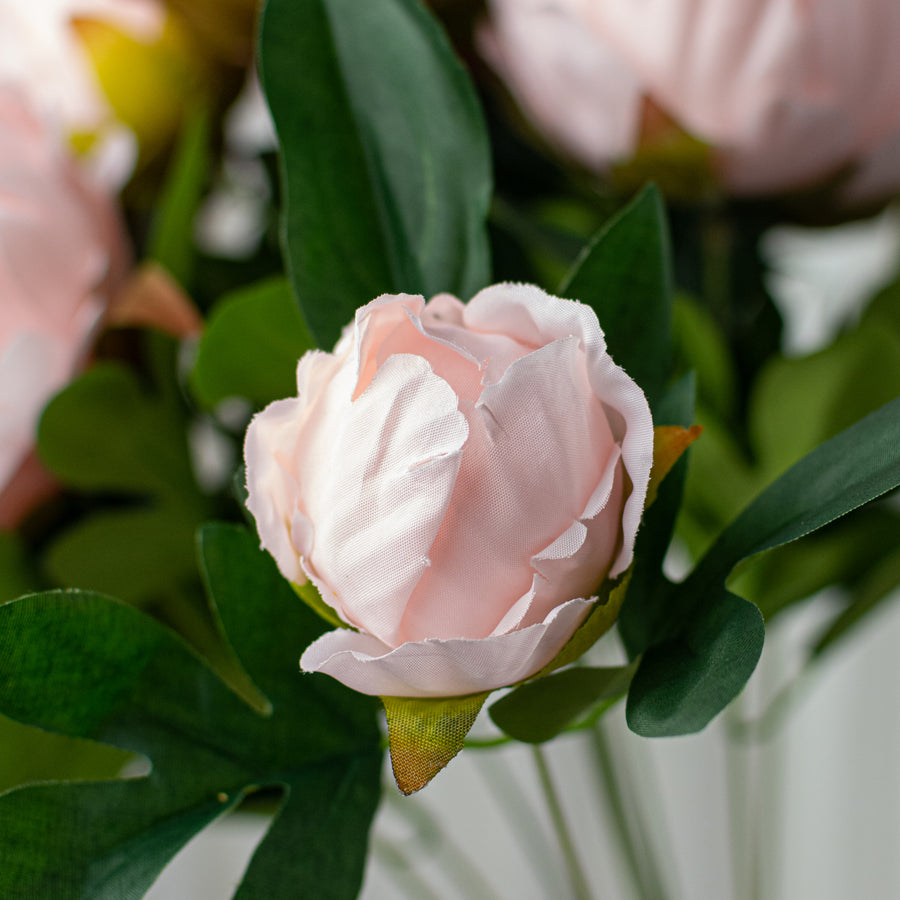 20" Peony Bush: Blush Pink (11 Stem)
