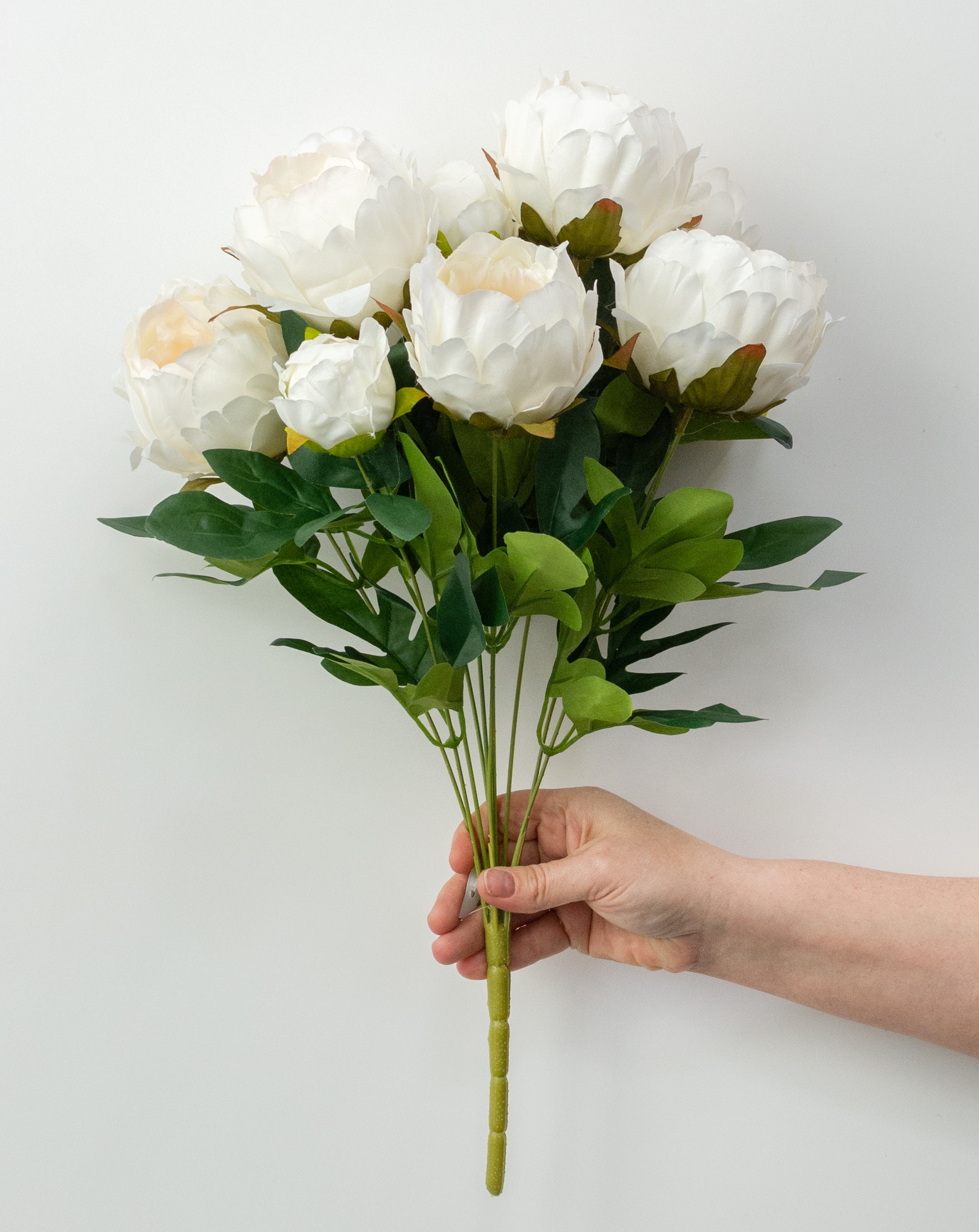 20" Peony Bush: Cream (11 Stem)
