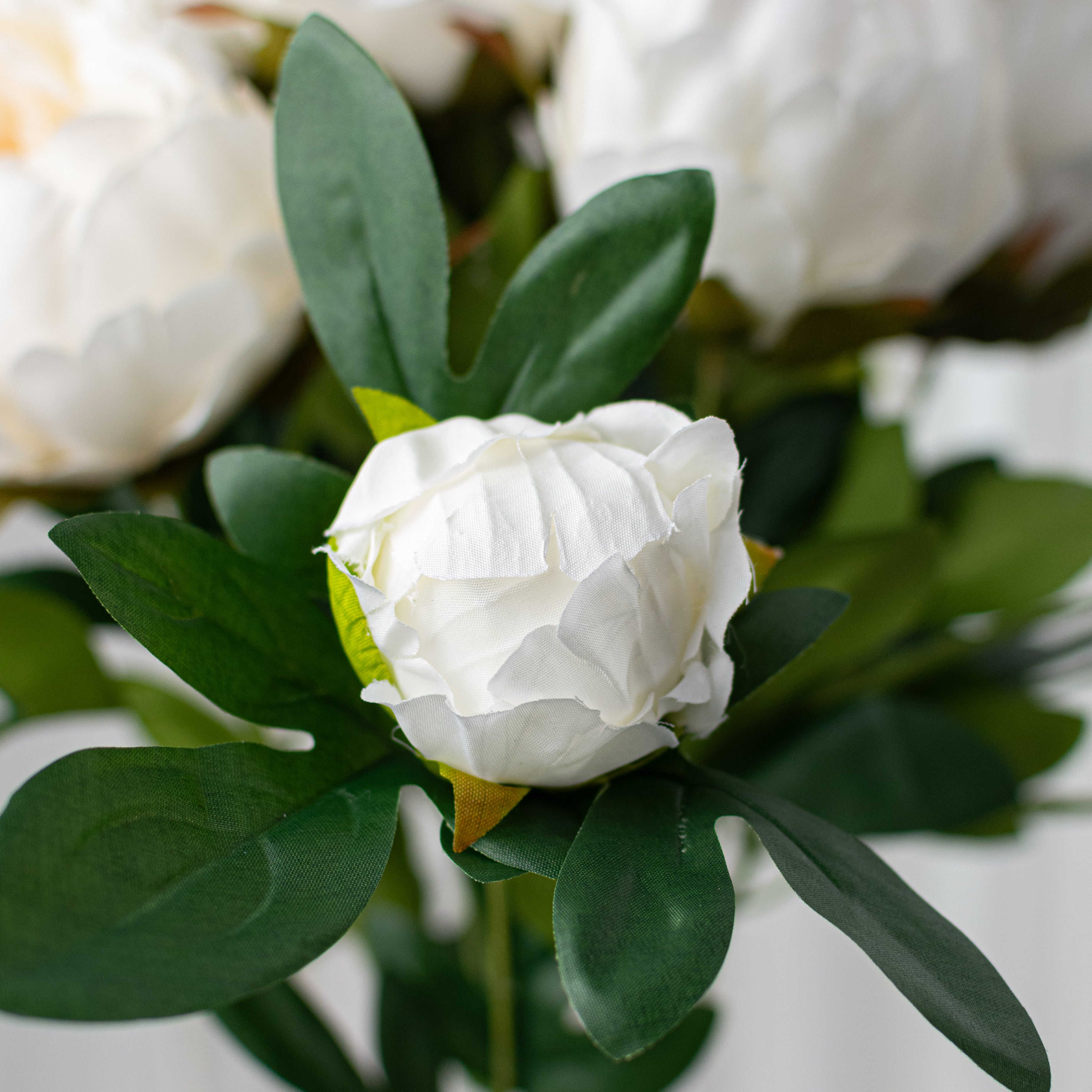 20" Peony Bush: Cream (11 Stem)