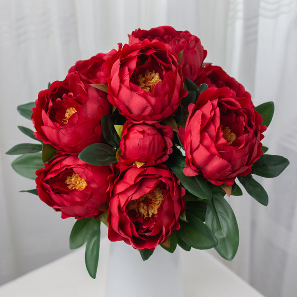 Peony Itoh Garden Candy Double Bubble Pink - A+ Garden