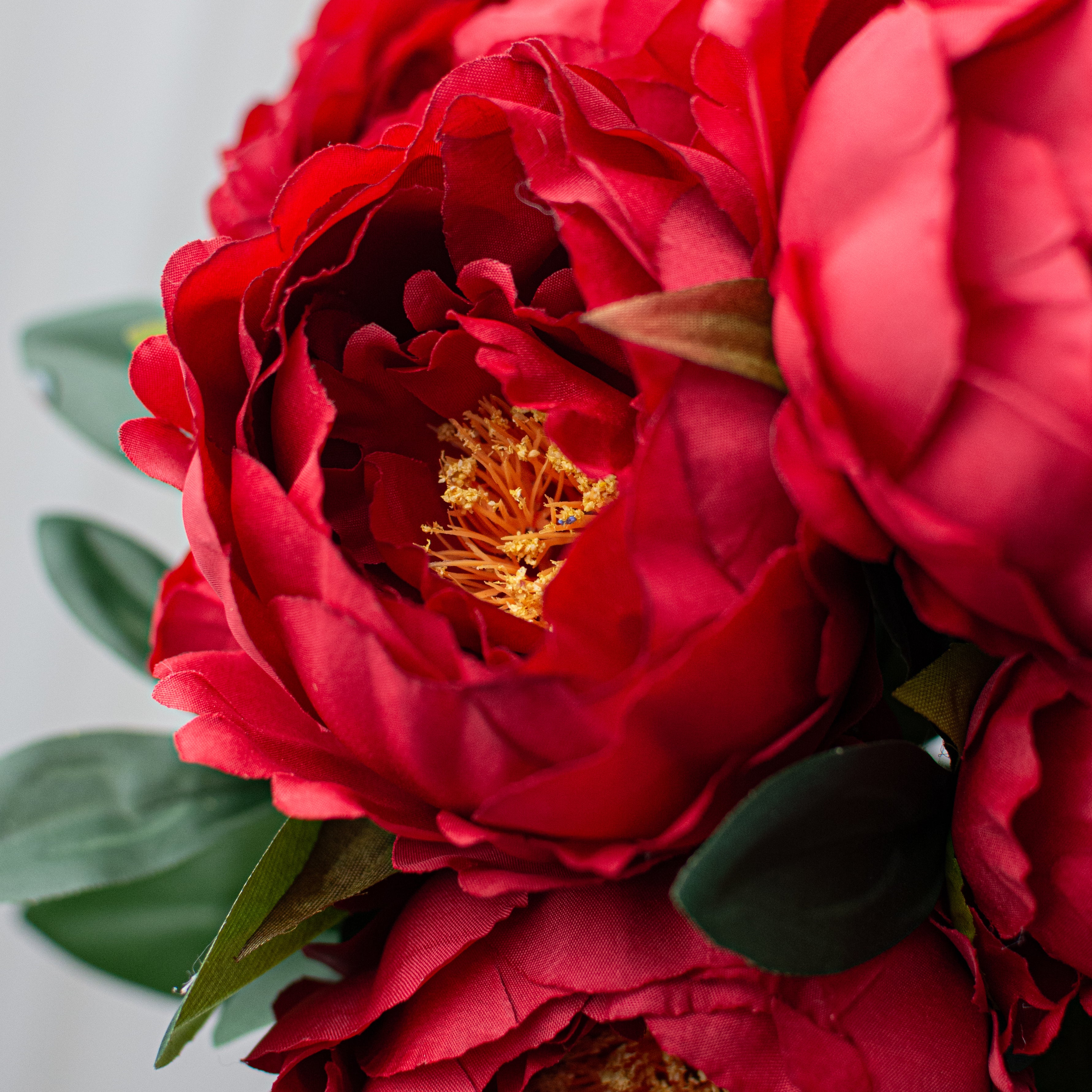 ✳︎peony✳︎ 22
