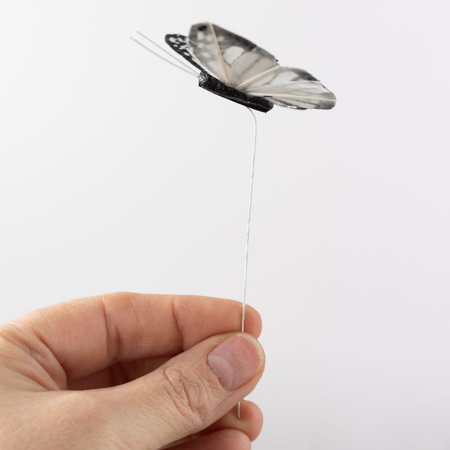 3" Feather Butterfly Picks: Black & White Monarchs (Box of 12)
