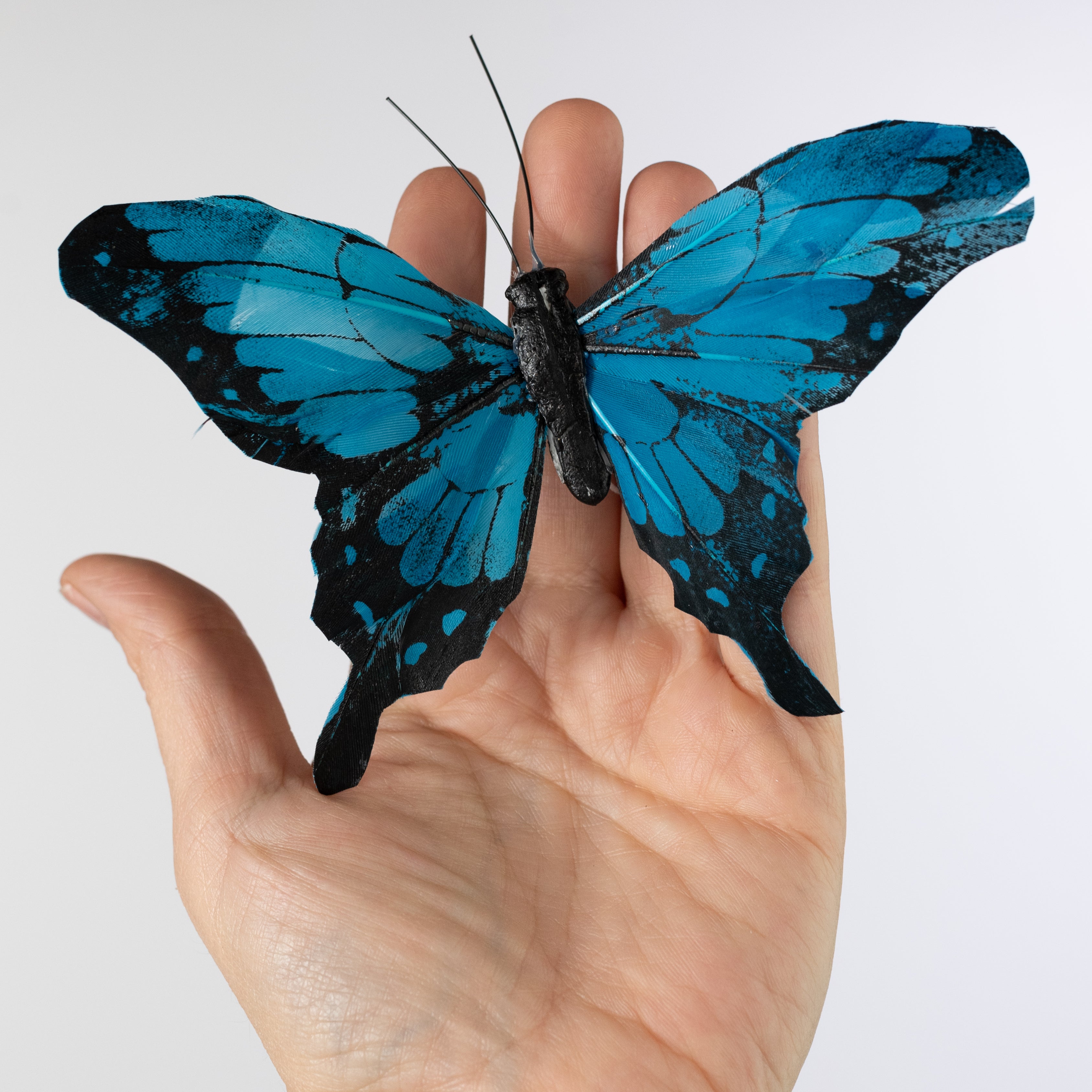 5" Feather Butterfly Picks: Blue Morpho (Box of 12)
