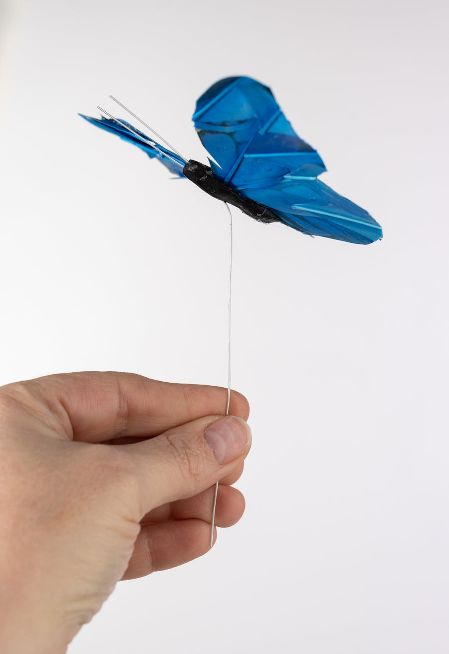 5" Feather Butterfly Picks: Blue Monarchs (Box of 12)