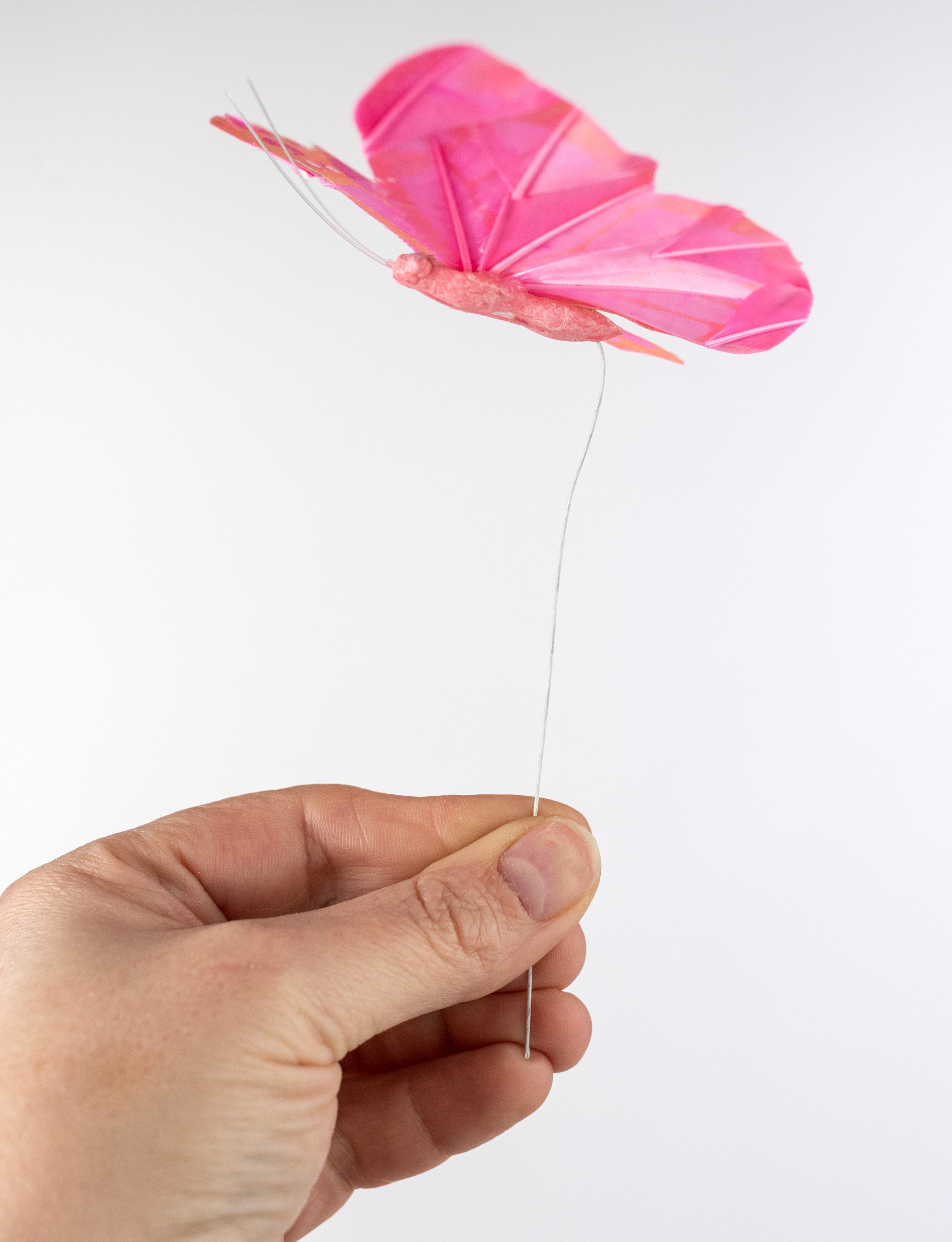 5" Feather Butterfly Picks: Pastel Monarch Assortment (Box of 12)