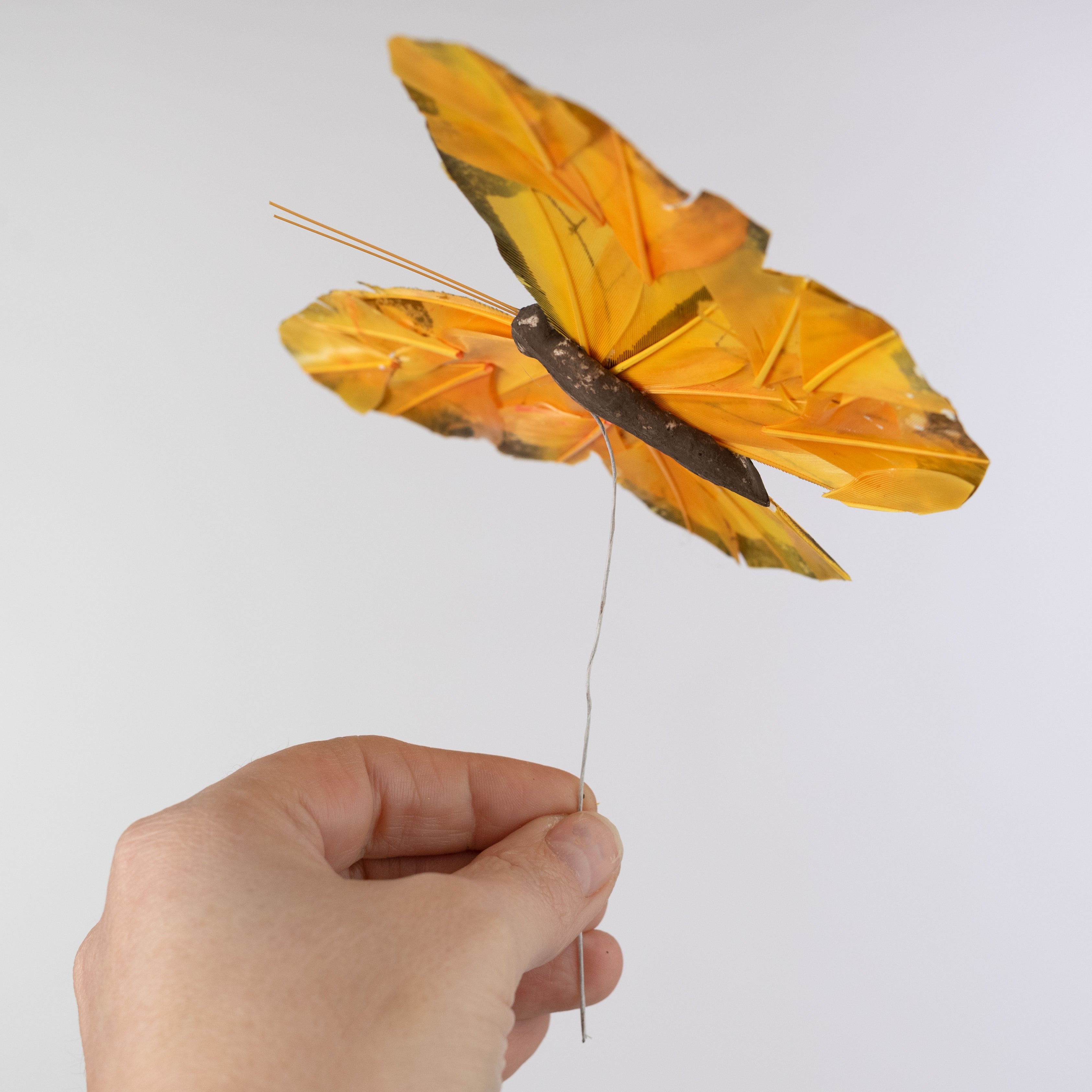 7" Feather Butterfly Picks: Orange Monarchs (Box of 12)