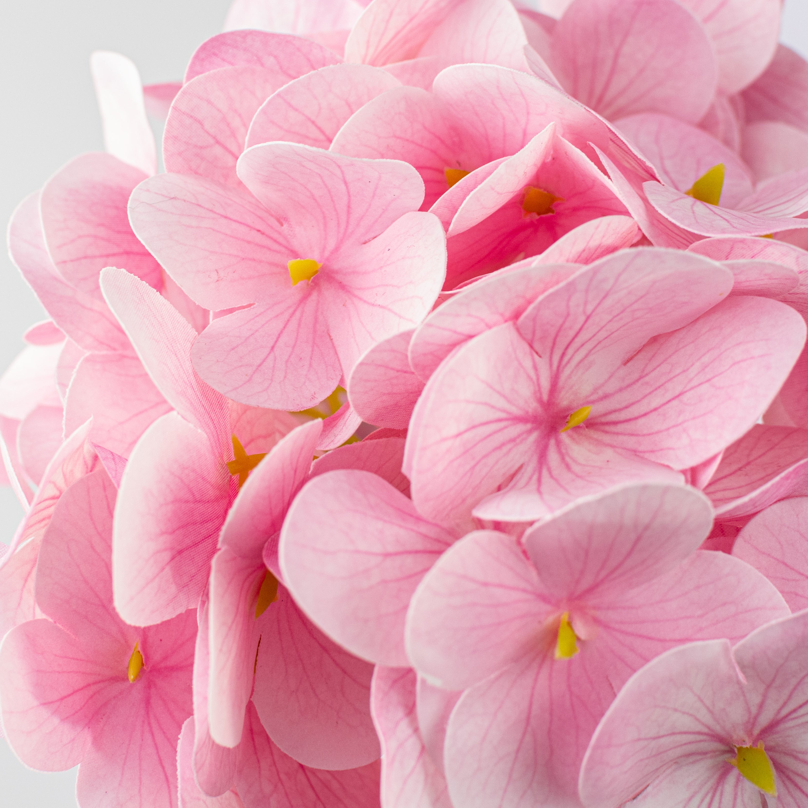 17" Hydrangea Stem Bundle: 2-Tone Pinks & Cream (3)