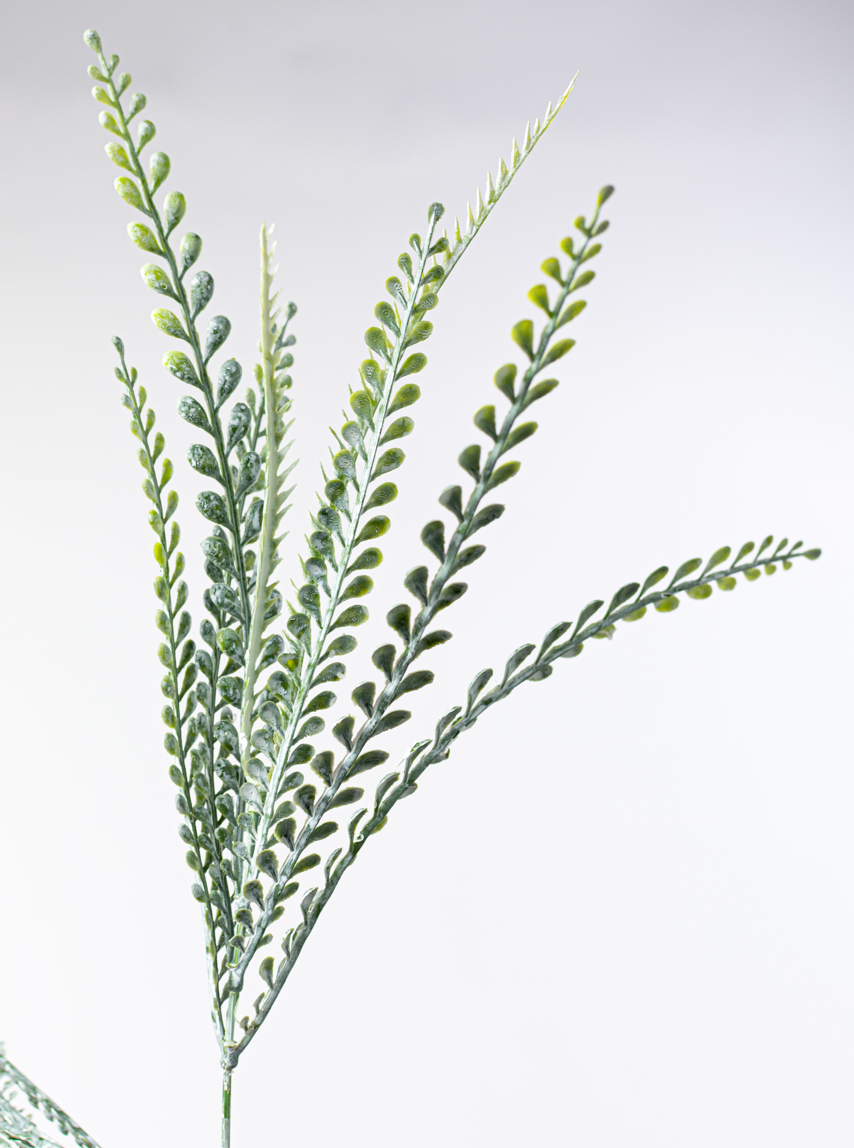 17" Button Sword Fern Bush: White Wash Green