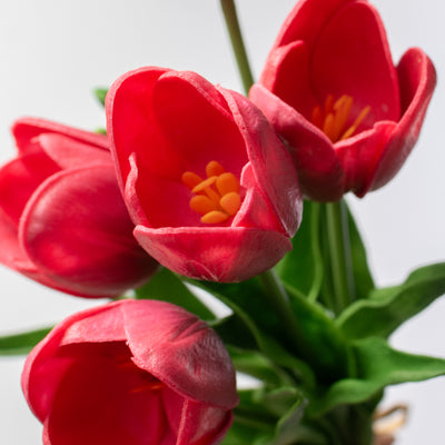 14" Medium Soft Touch Tulip Flower Bundle: Beauty (6)