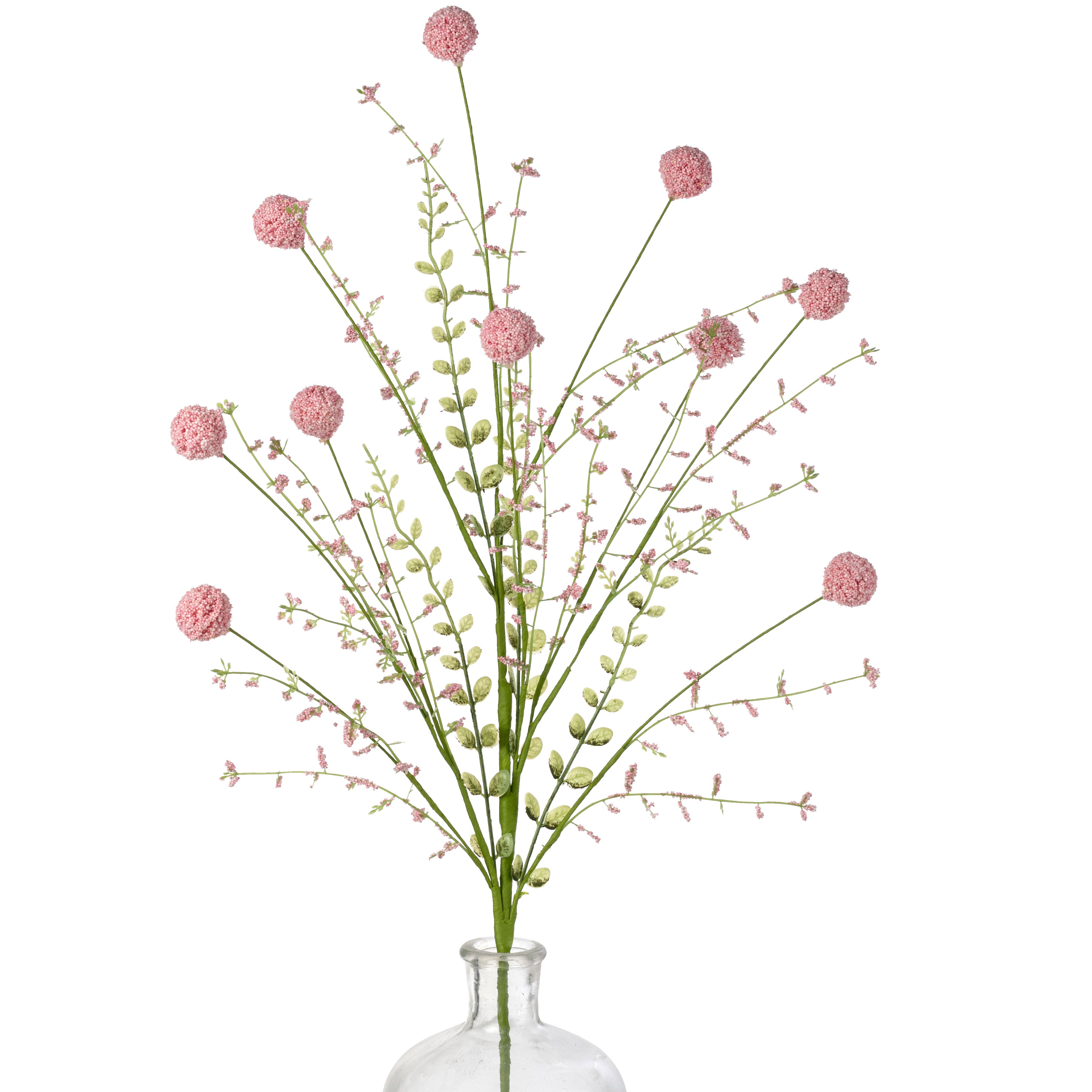 30" Snowball Allium Bush: Pink