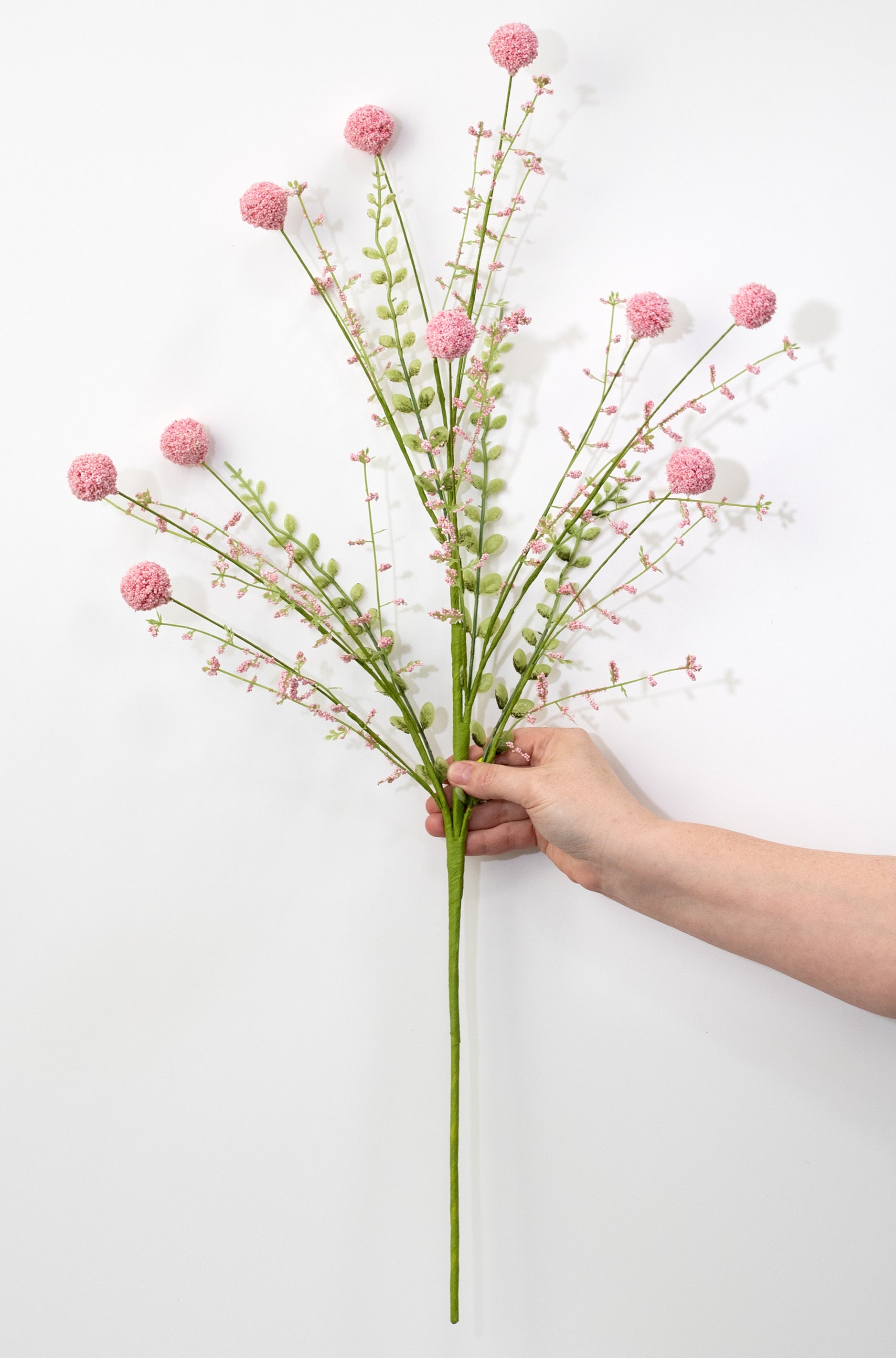 30" Snowball Allium Bush: Pink