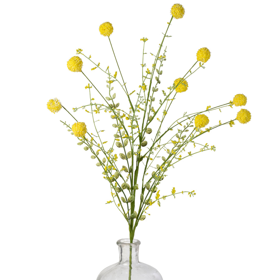 30" Snowball Allium Bush: Yellow