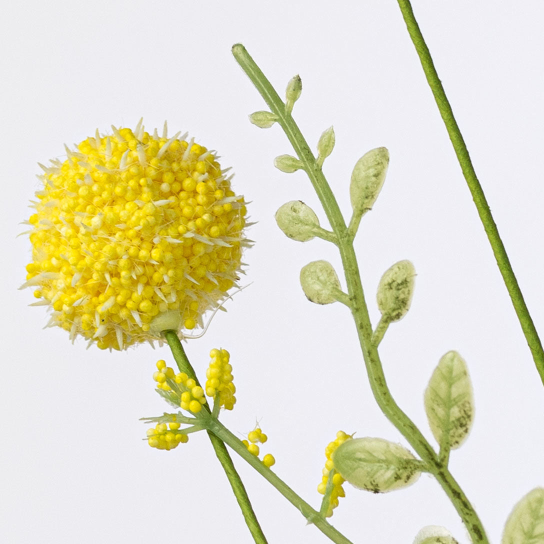 30" Snowball Allium Bush: Yellow