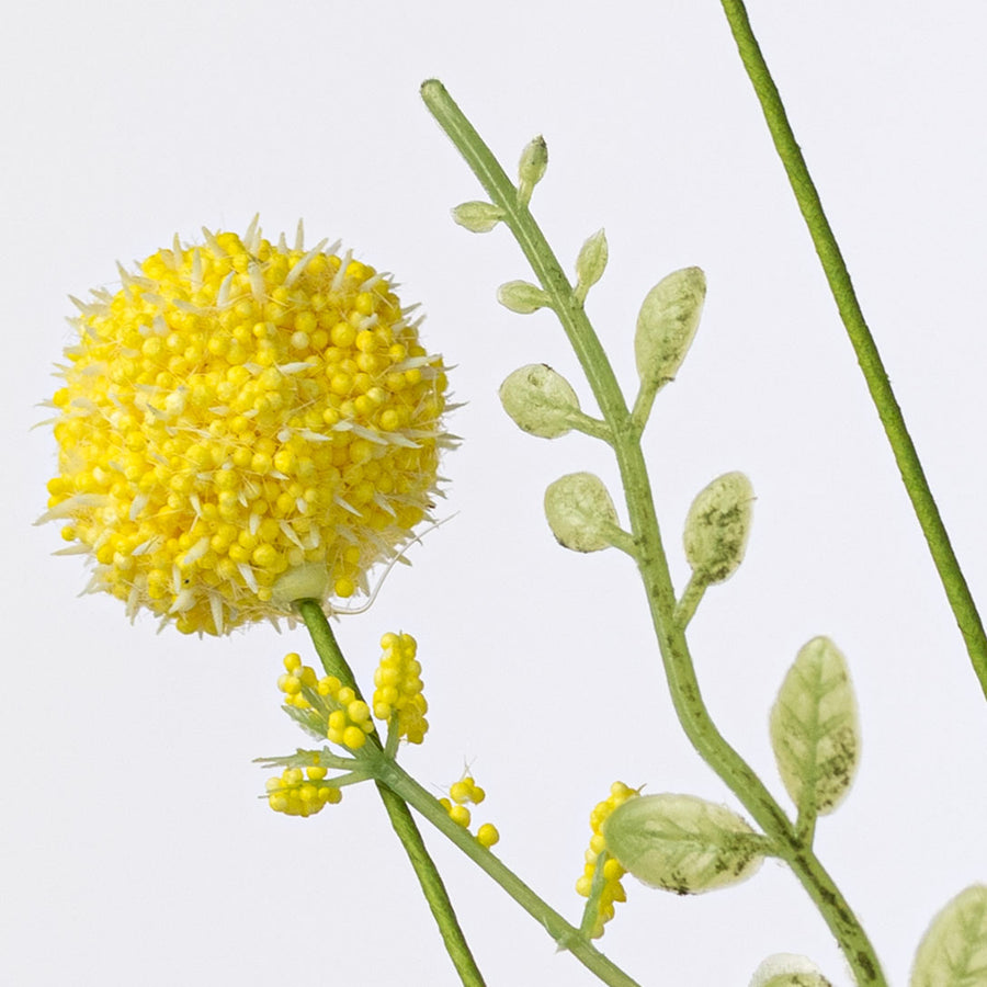 30" Snowball Allium Bush: Yellow