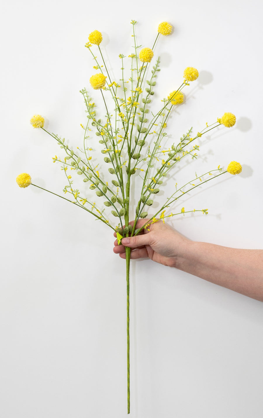 30" Snowball Allium Bush: Yellow