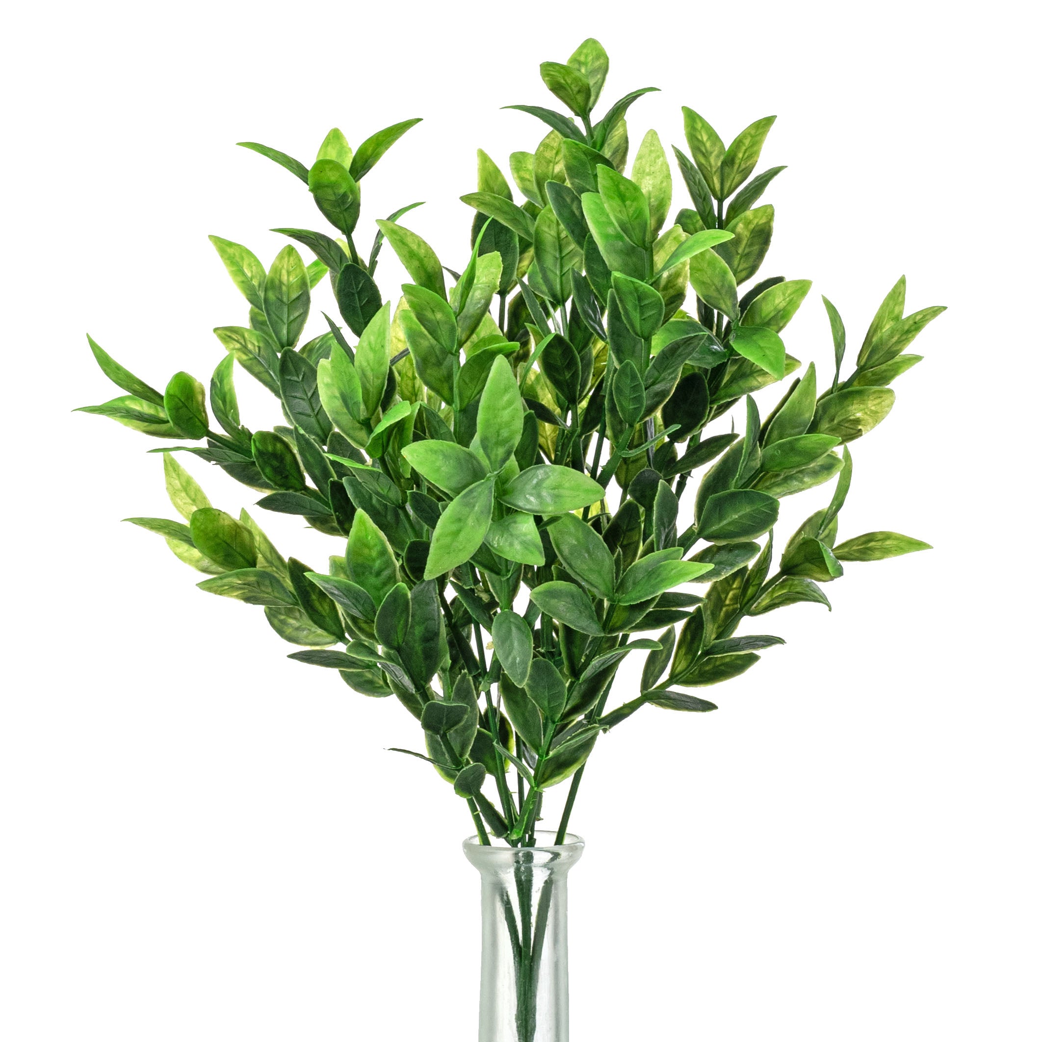 14" Baby Ruscus Bush