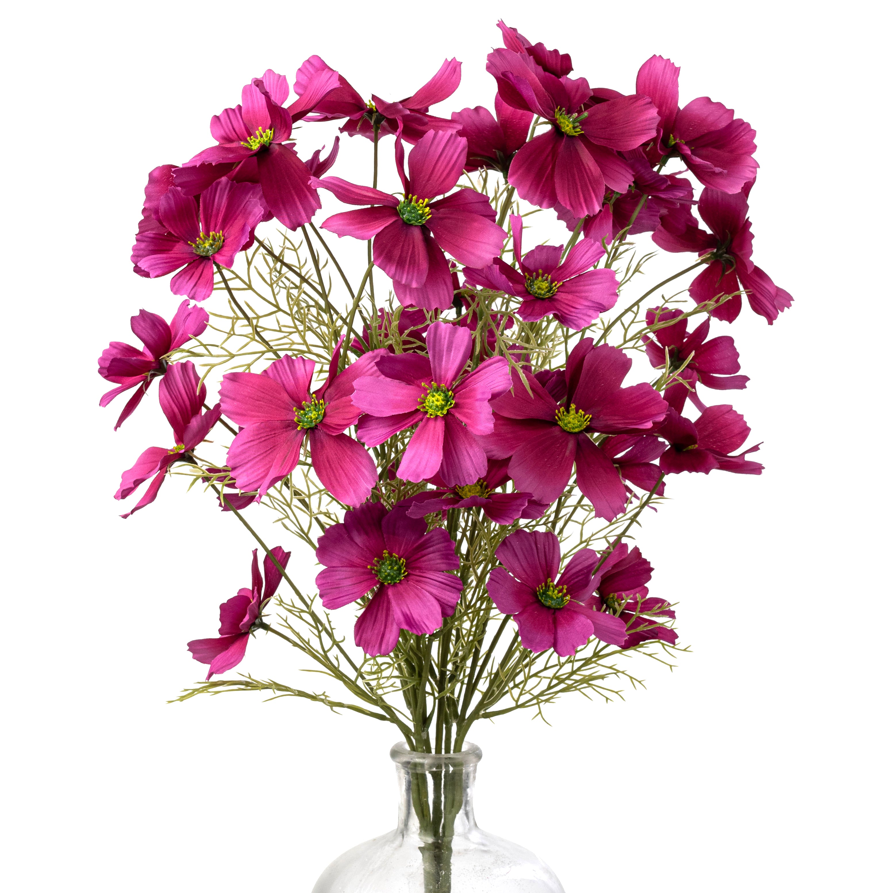 20" Garden Cosmos Bush: Beauty Pink
