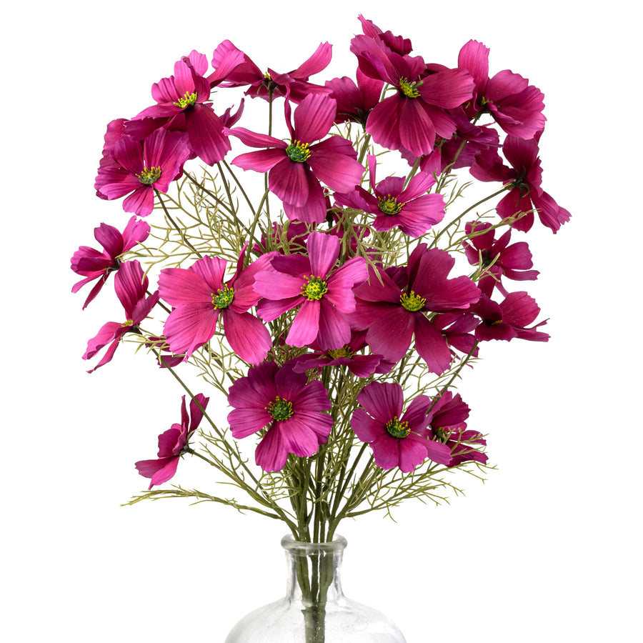 20" Garden Cosmos Bush: Beauty Pink