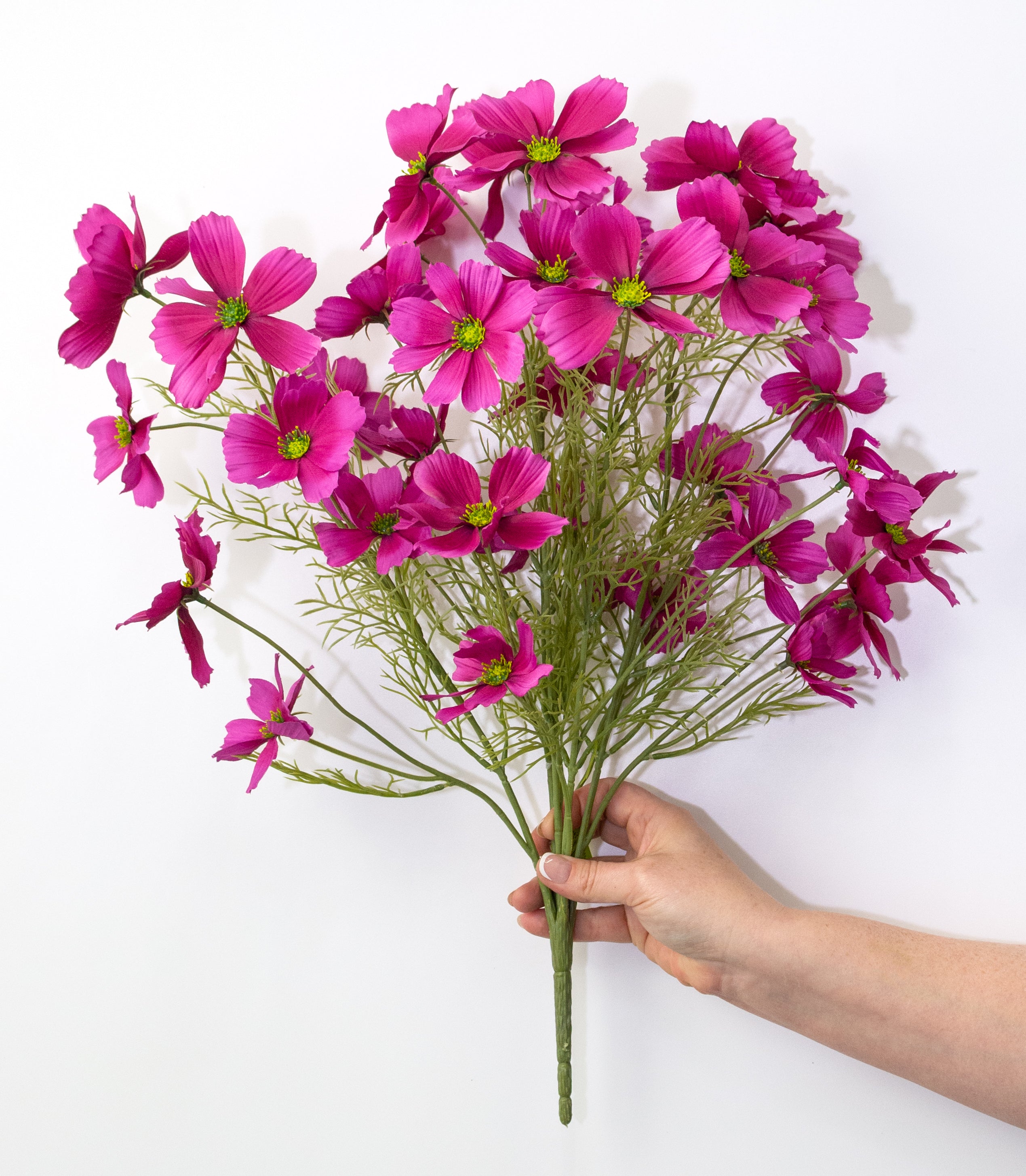 20" Garden Cosmos Bush: Beauty Pink