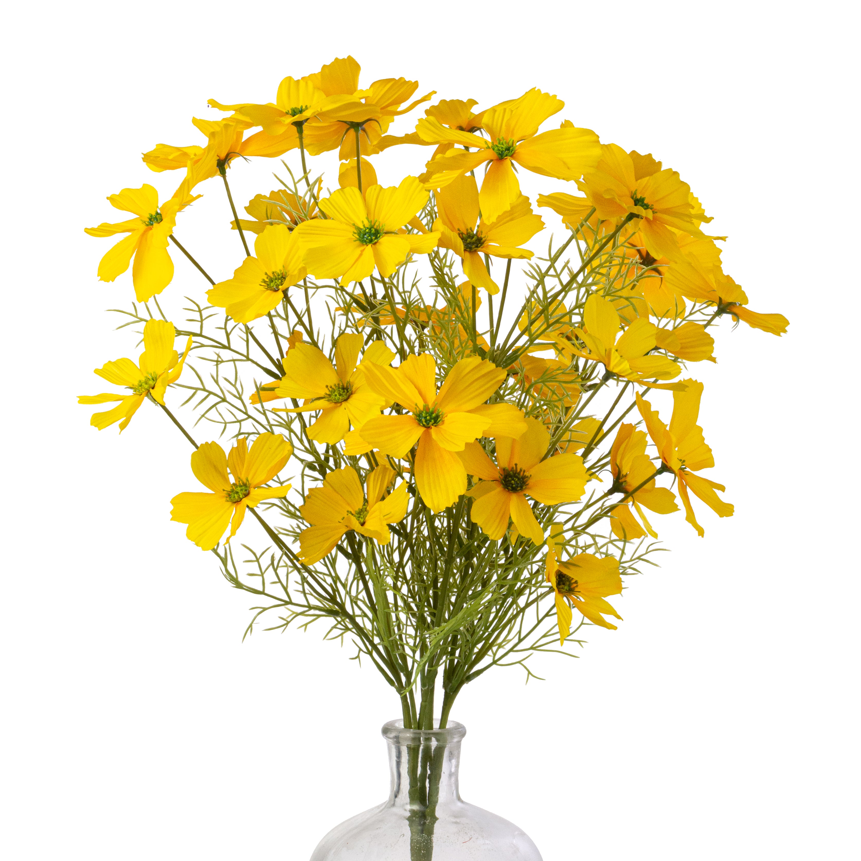 20" Garden Cosmos Bush: Yellow
