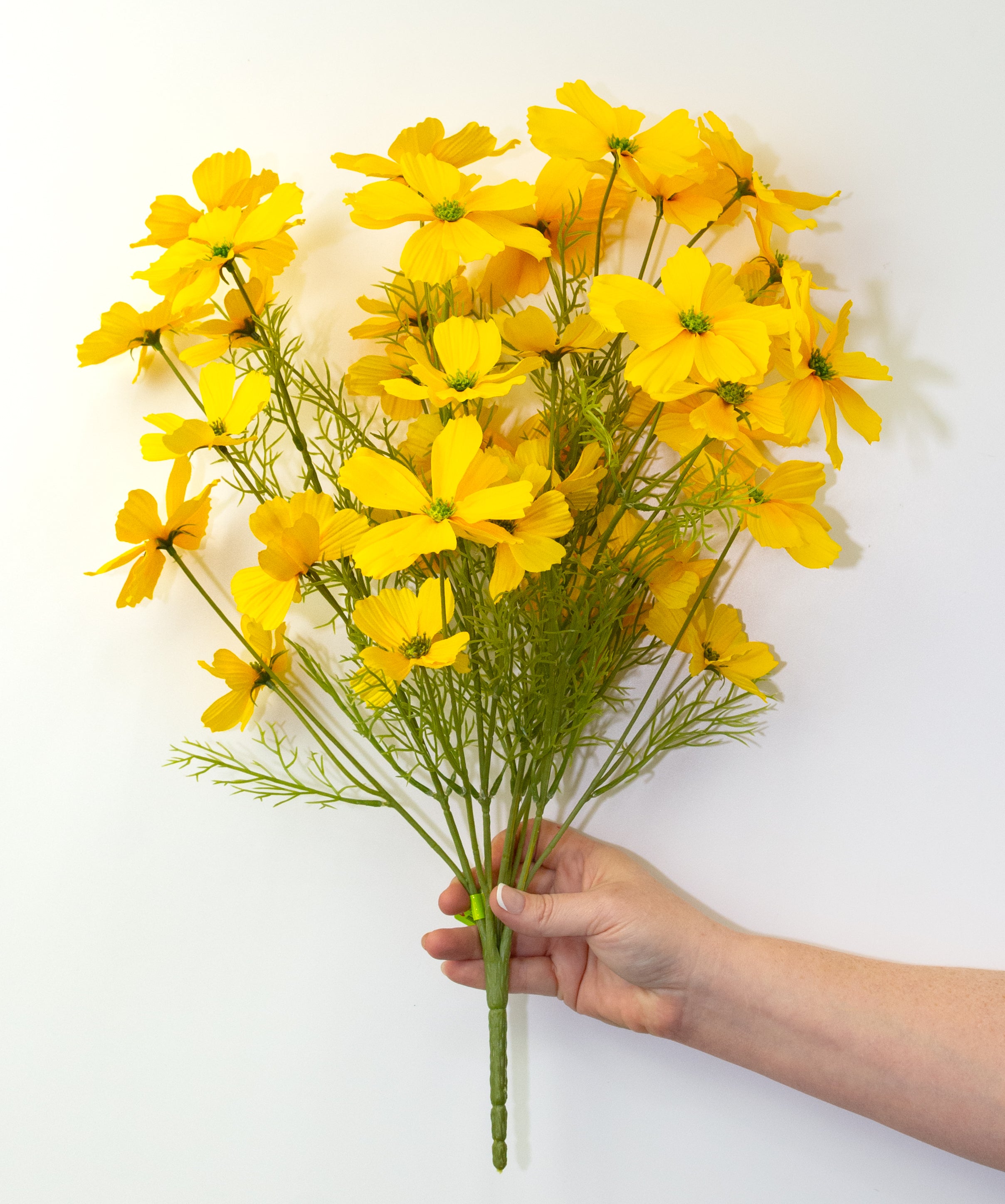 20" Garden Cosmos Bush: Yellow