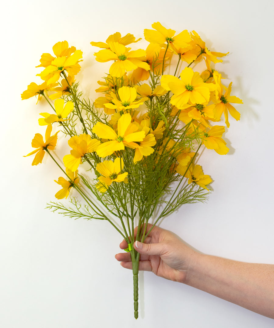 20" Garden Cosmos Bush: Yellow