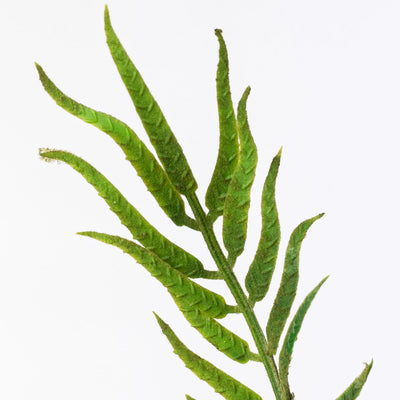 21" Flocked Plastic Fishtail Fern Bush