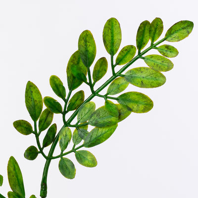 21" Plastic Hemlock Bush