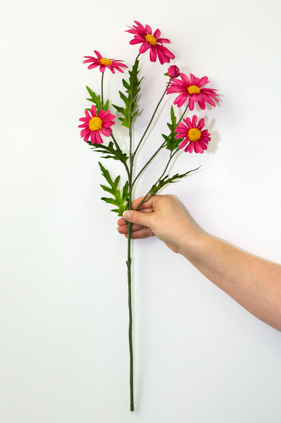 25" Daisy & Buds Spray x5: Beauty Pink